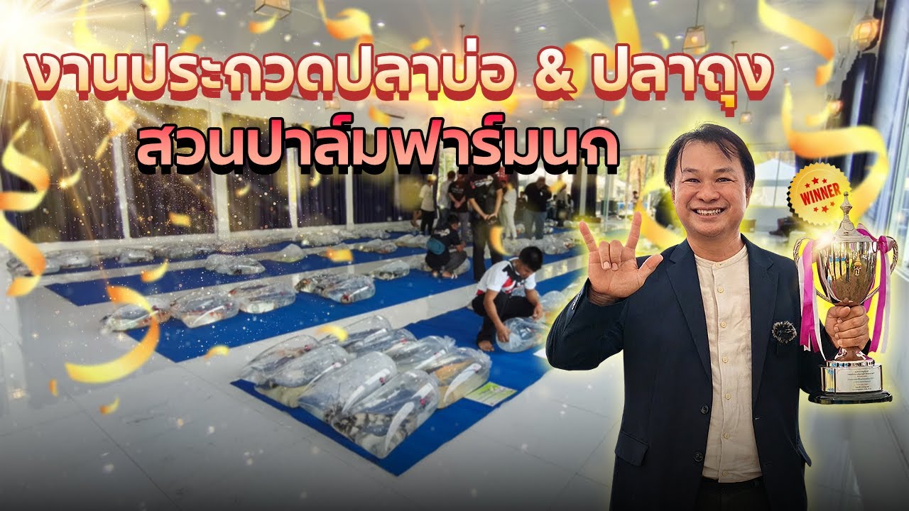 พาชมงานประกวดปลาบ่อและปลาถุง ที่สวนปาล์มฟาร์มนก