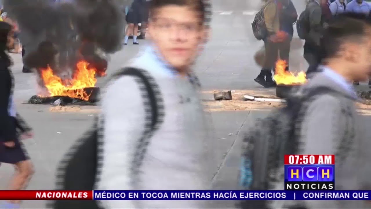 ¡Vuelve la mula al trigo! Estudiantes del 