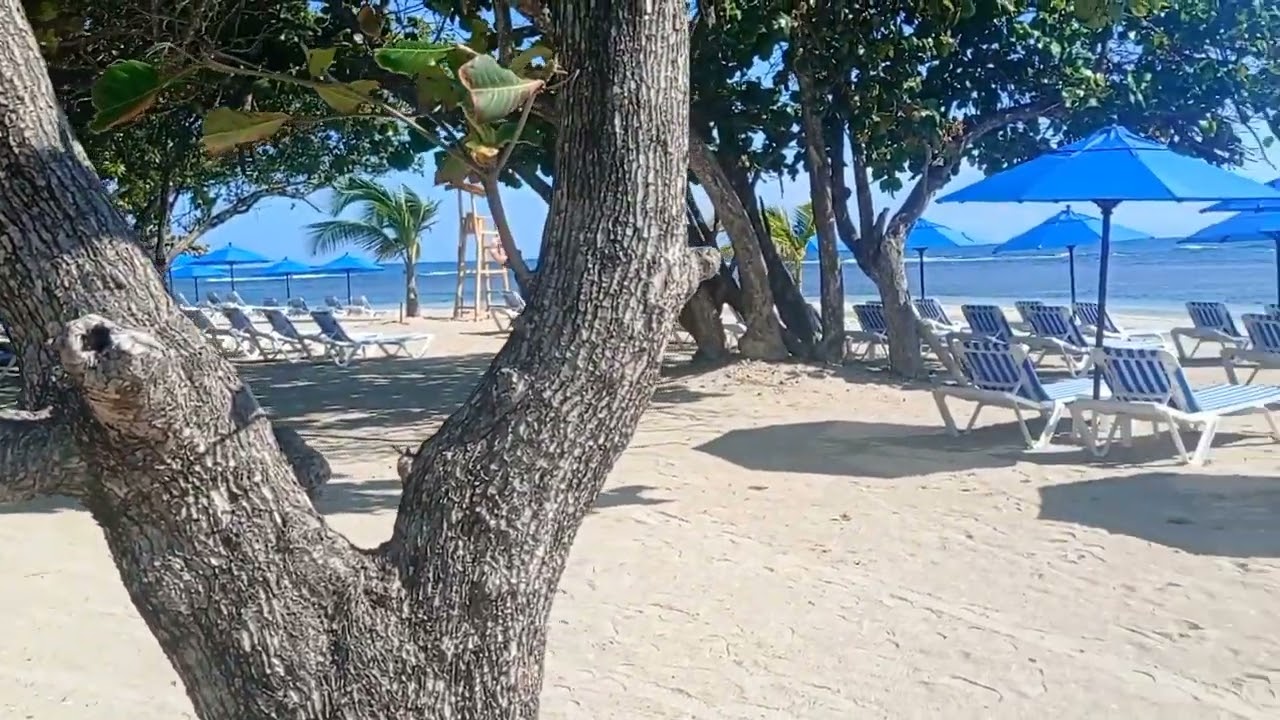 Amber beach club