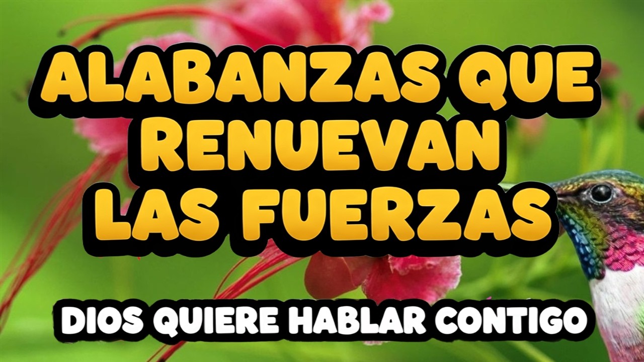 DIOS NO TE HA ABANDONADO 🙏 ALABANZA DE FORTALEZA