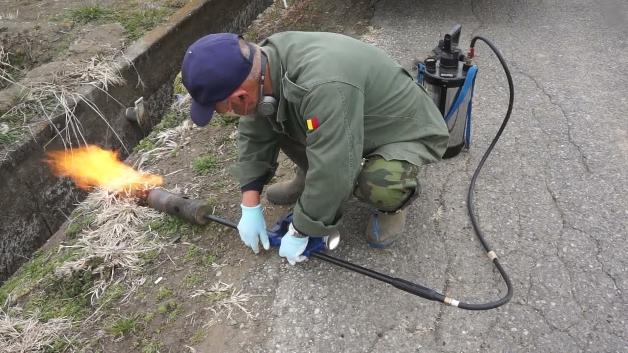 畔の草焼　排水側　2月24日