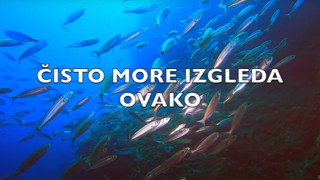 JADRANSKO MORE - UŽIVAJTE!