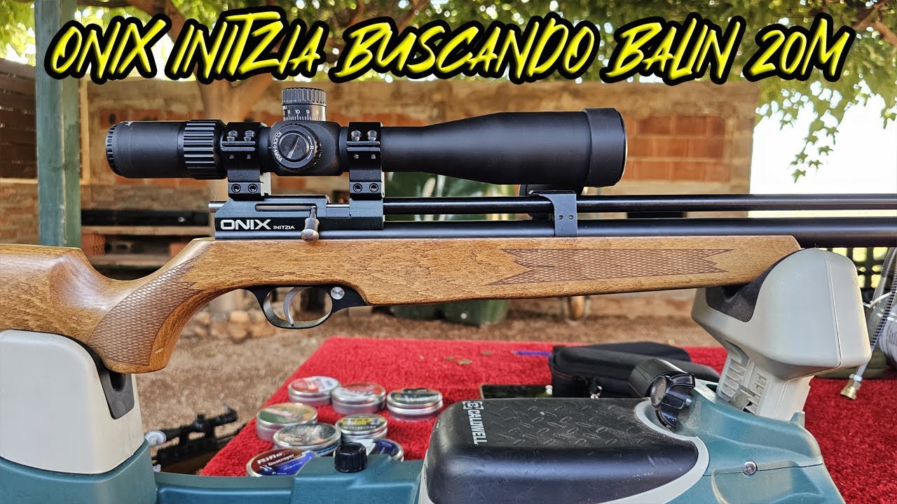 ONIX INITZIA BUSCANDOLE BALIN A 20 METROS