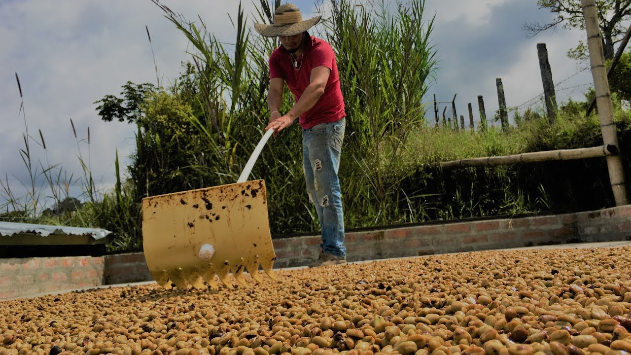 Café Villa Laura en El Mundo Del Campo (2018)