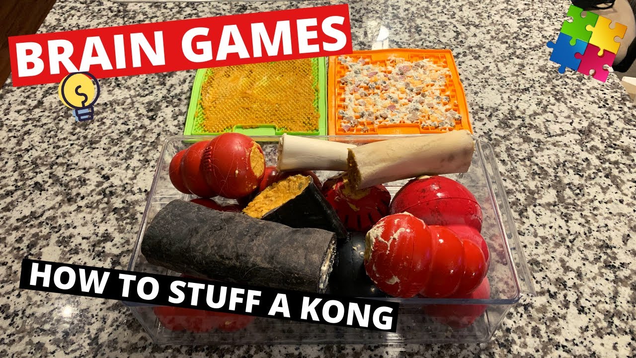 How to Stuff a Kong for Your Dog