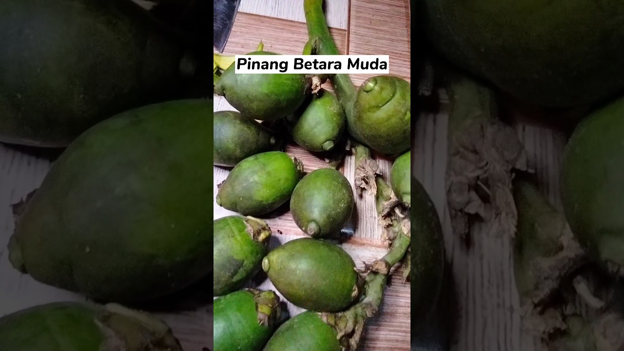 Indonesian betel nut #shorts