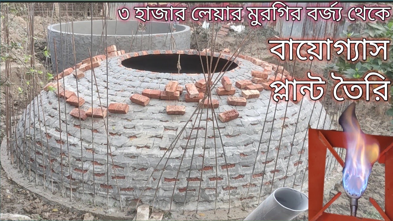 ৩ হাজার  লেয়ার মুরগির বিষ্ঠা দিয়ে বায়োগ্যাস প্লান্ট তৈরি হচ্ছে কুমিল্লা | Biogas plant |