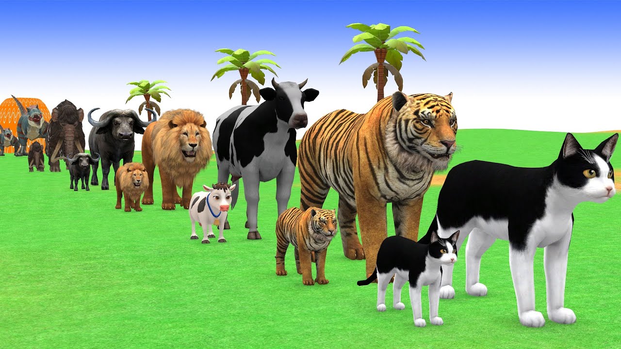 Long Slide Game with Cow Elephant Gorilla Hippopotamus Tiger 3d Animal Game Funny 3d Animals