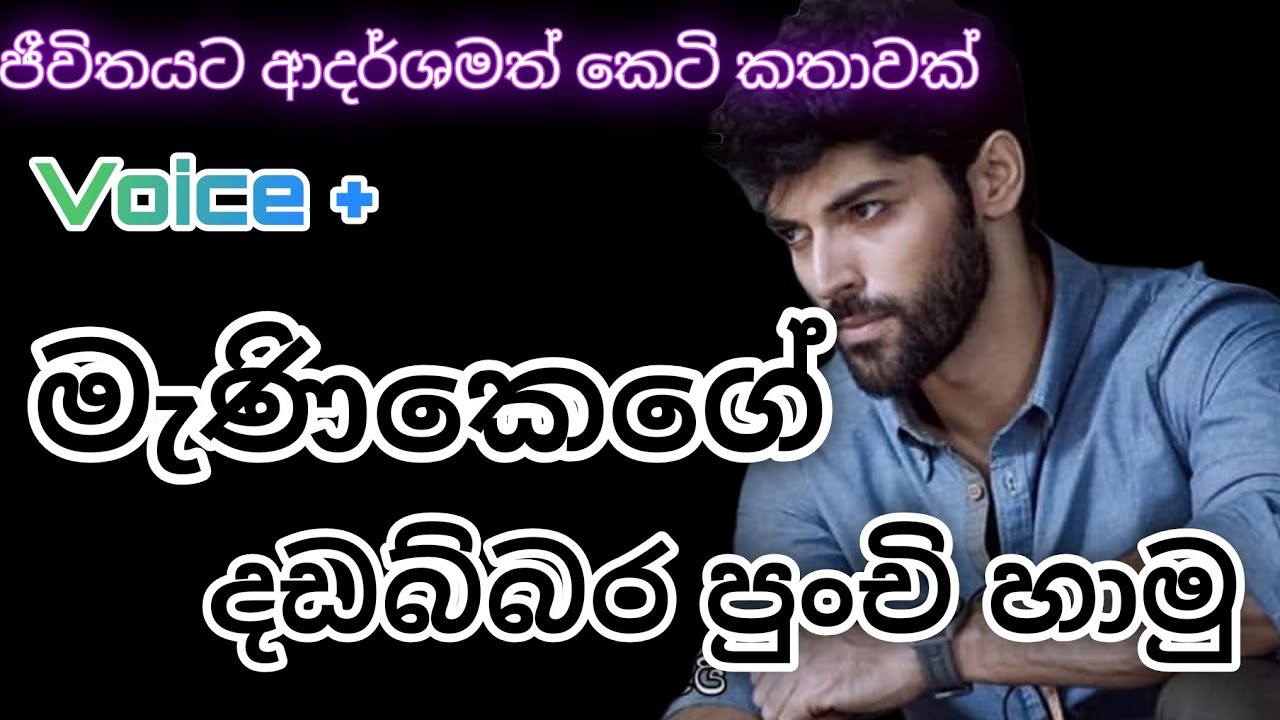 මැණිකෙගේ දඩබ්බර පුංචි හාමු | love novel|ලස්සන ආදරණීය කෙටි කතාවකි|keti katha|nawa katha|
