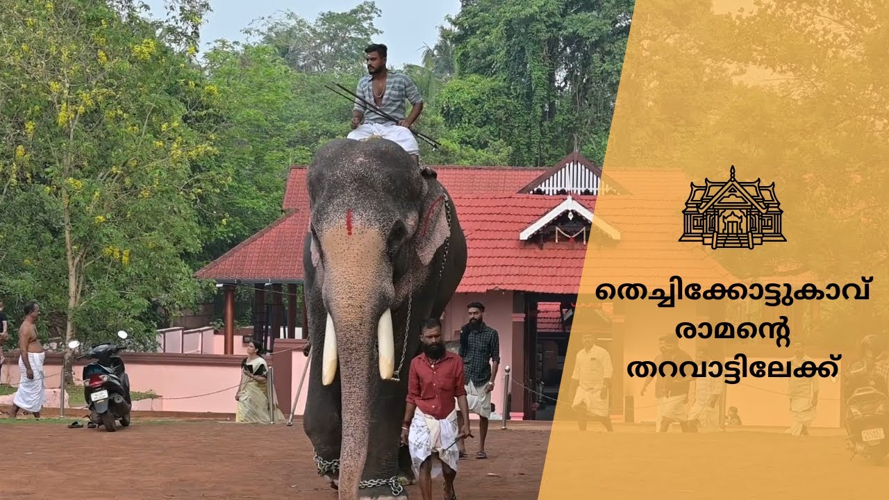 വനദുർഗ  പുഷ്പാഞ്ജലി കാര്യസാധ്യതക്ക് | Thechikottukavu Temple