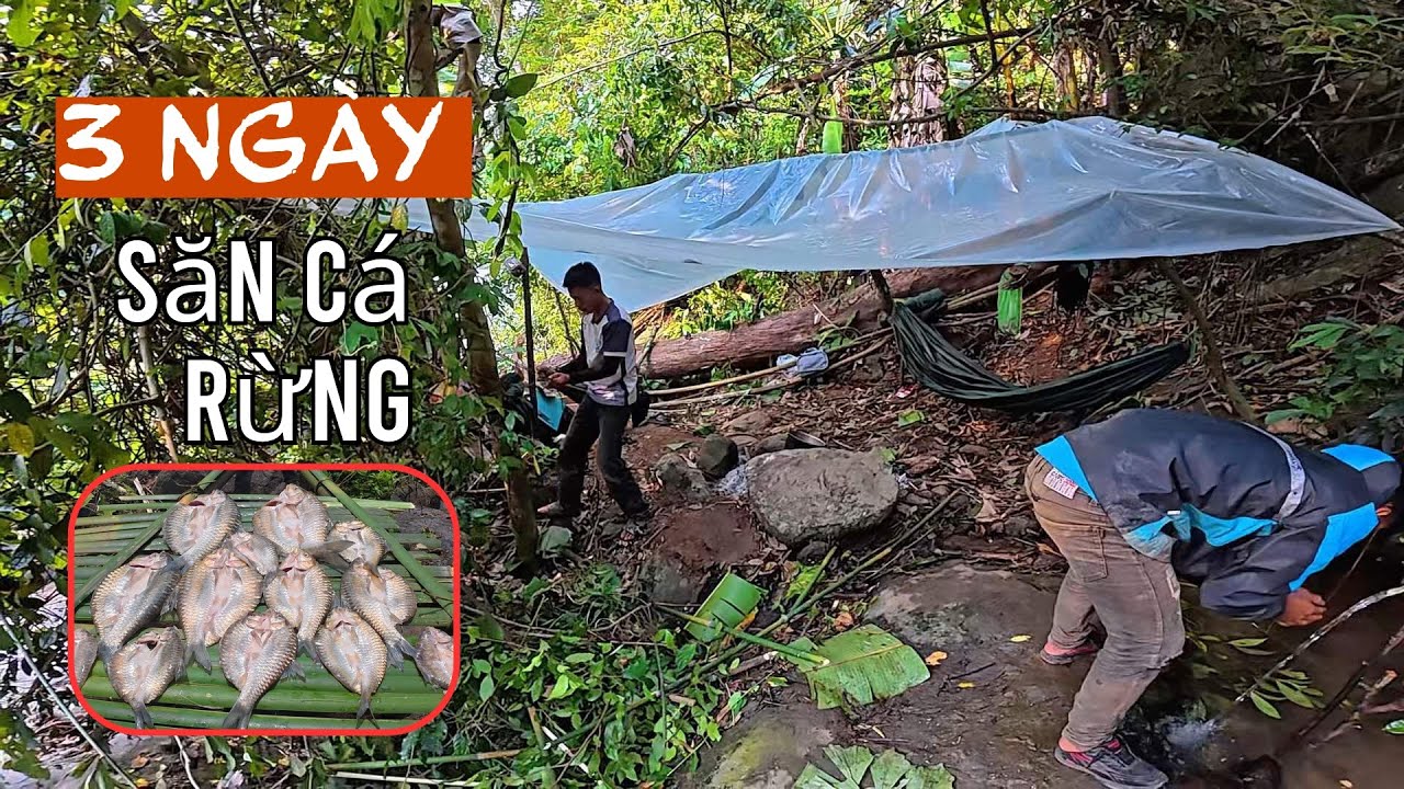 3 Ngày Phiêu Lưu Săn Cá Rừng Hoang Dã | Wild Fish Hunting