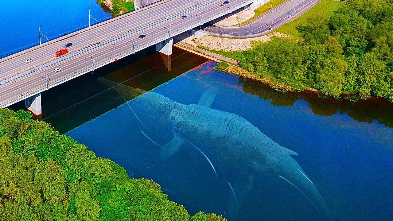 Apa Jadinya kalau Monster Laut yang Sudah Punah Ini Hidup Kembali?