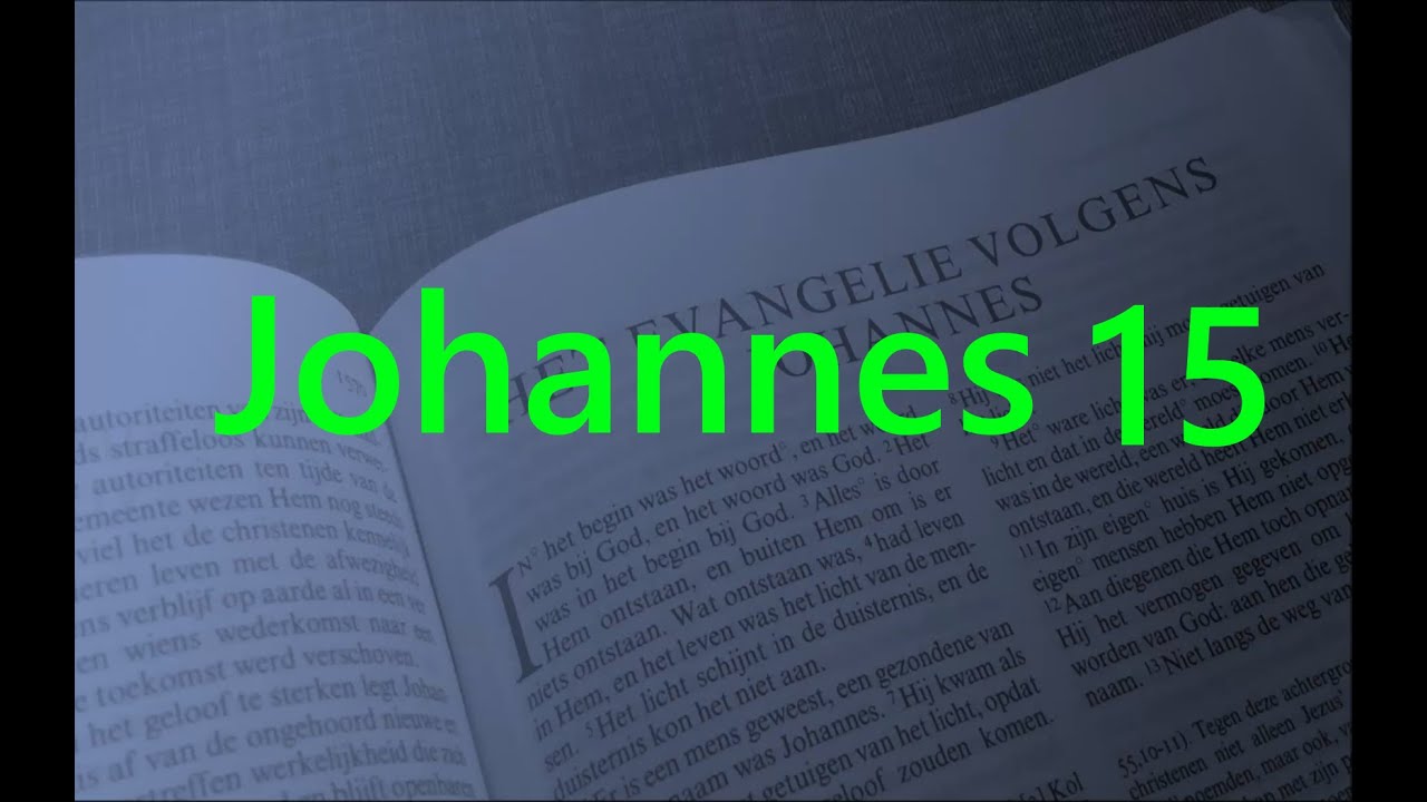 Johannes 15