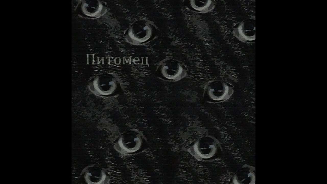 Вишез - Питомец ( Порез на Собаке cover )
