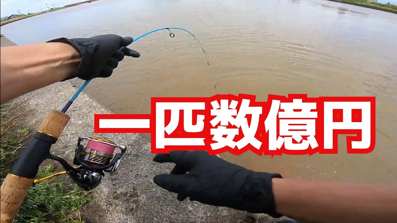 【驚愕】億越えの魚が釣れたので『◯◯』と交換したwww