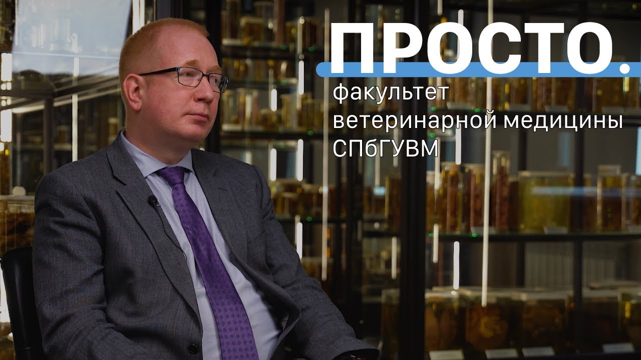 Любовь к животным | Интервью в СПбГУВМ