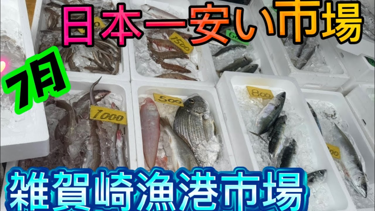【雑賀崎漁港】日本一新鮮激安とりたての魚を漁師さんから直接買える市場