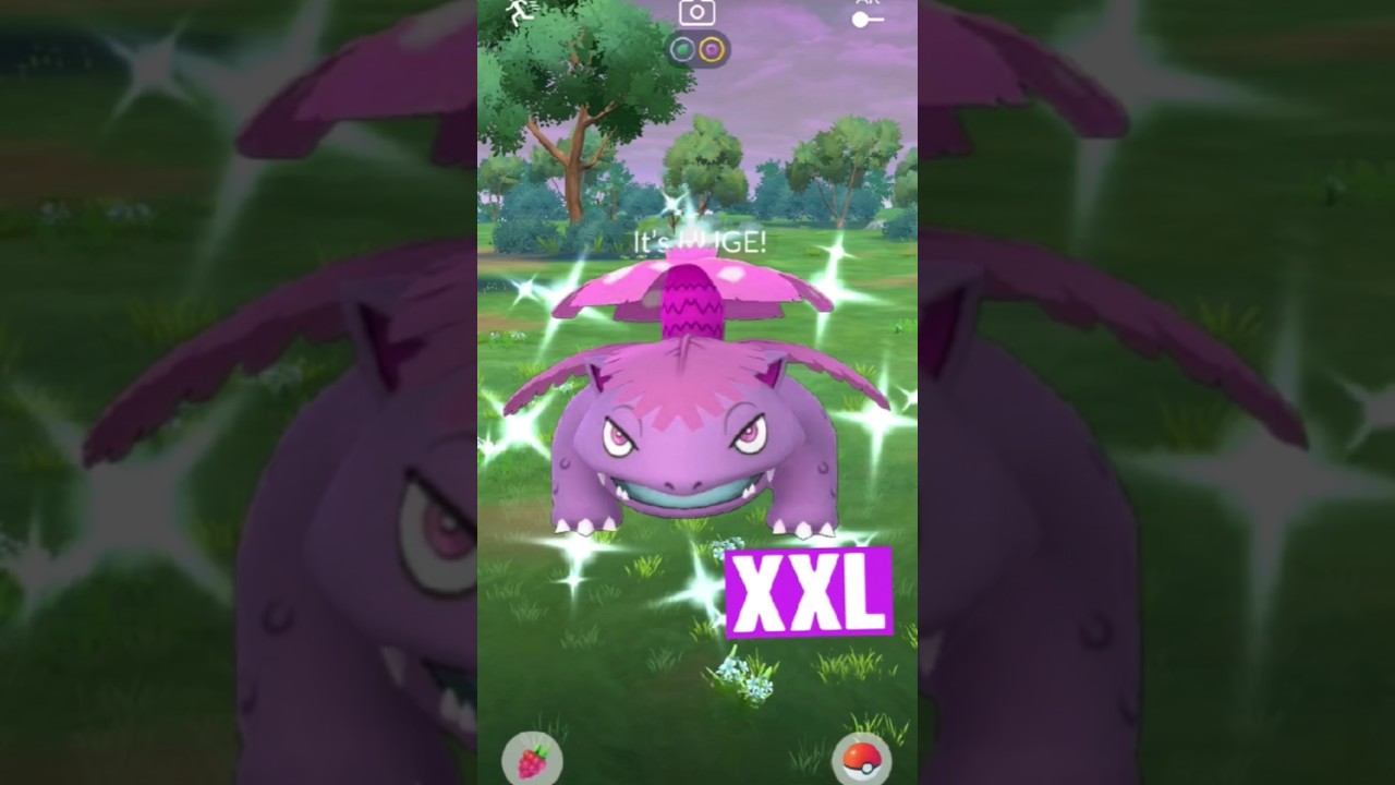 Got Xxl ✨️Shiny  Venusaur                      