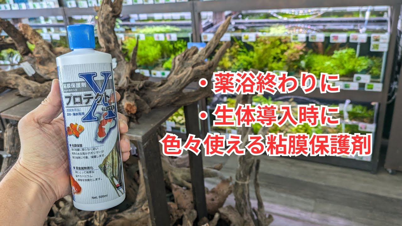 私が一番おすすめする粘膜保護剤「プロテクトX」をご紹介！