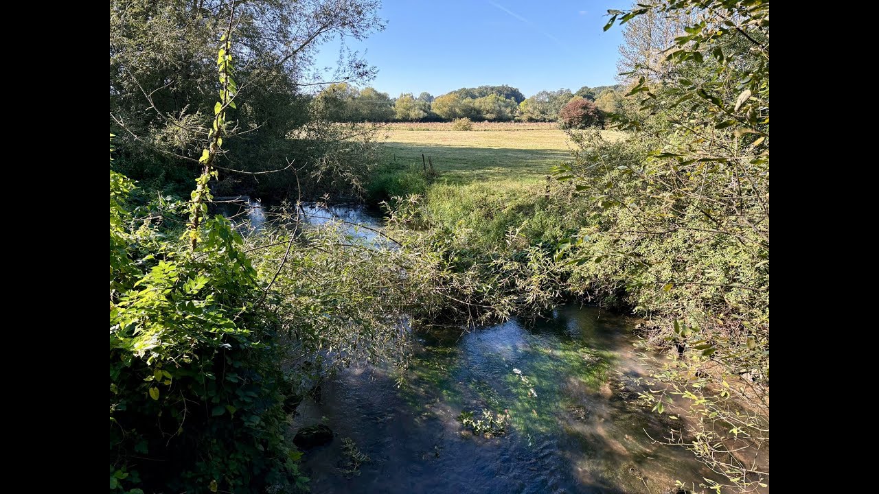 Nature's Recovery Collaborate: Freshwater Watch in the Cherwell and Ray Catchment