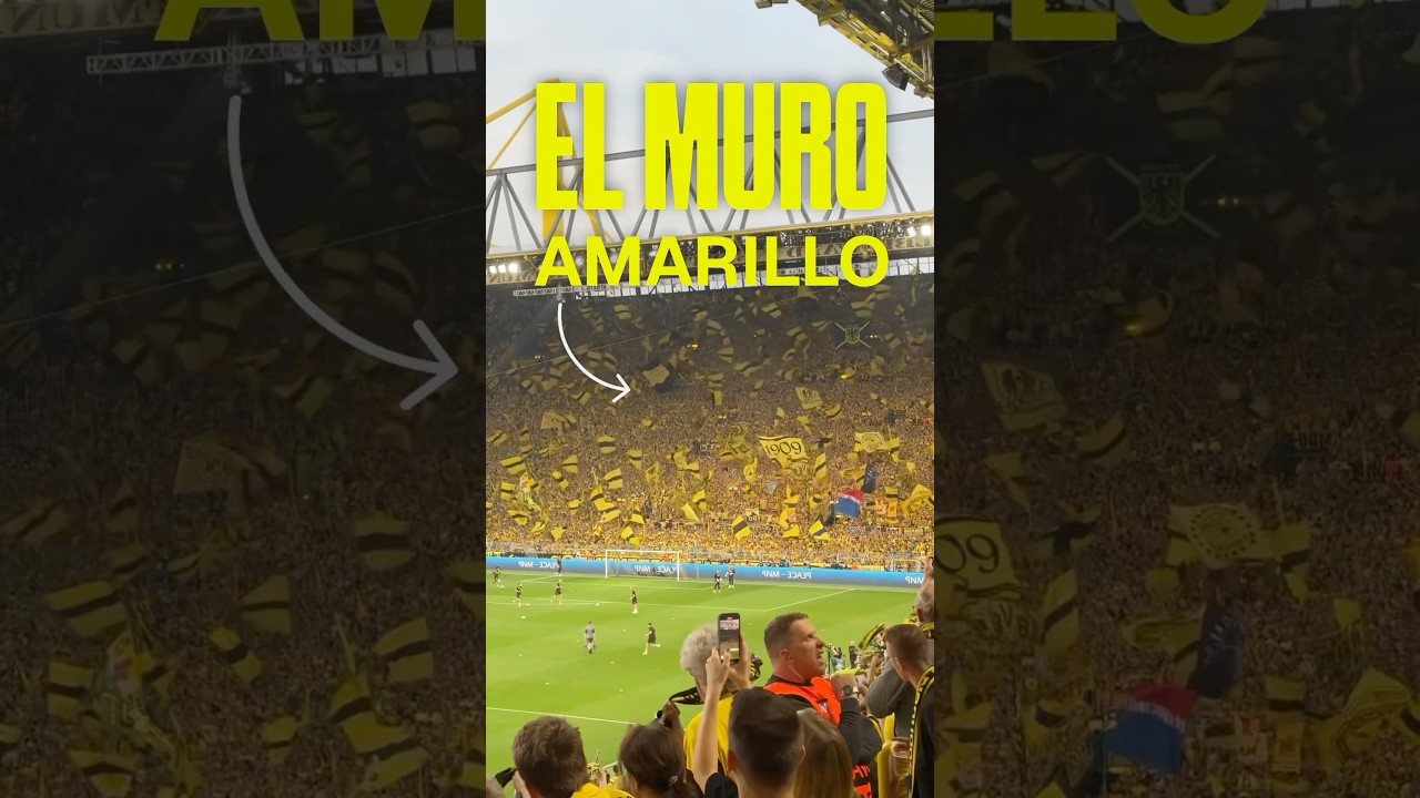 As&iacute; es la GRADA de PIE m&aacute;s grande del mundo 🐝 #futbol #estadios #championsleague #borussiadortmund