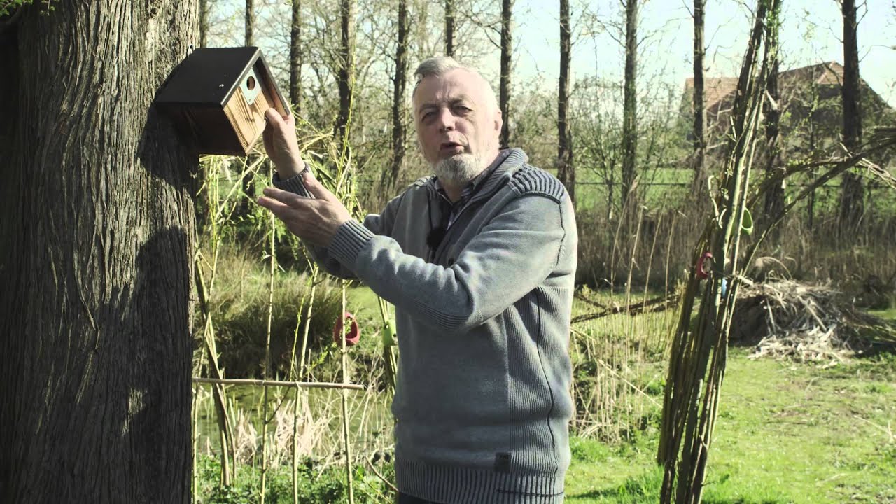 Nico de Haan - Nestkast ophangen