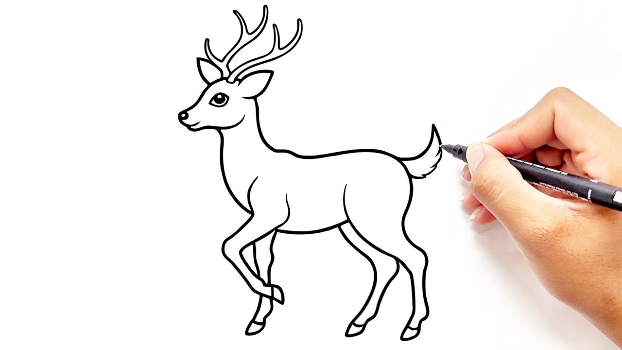 How to Draw a Deer - Easy Drawing Step by Step Ep18