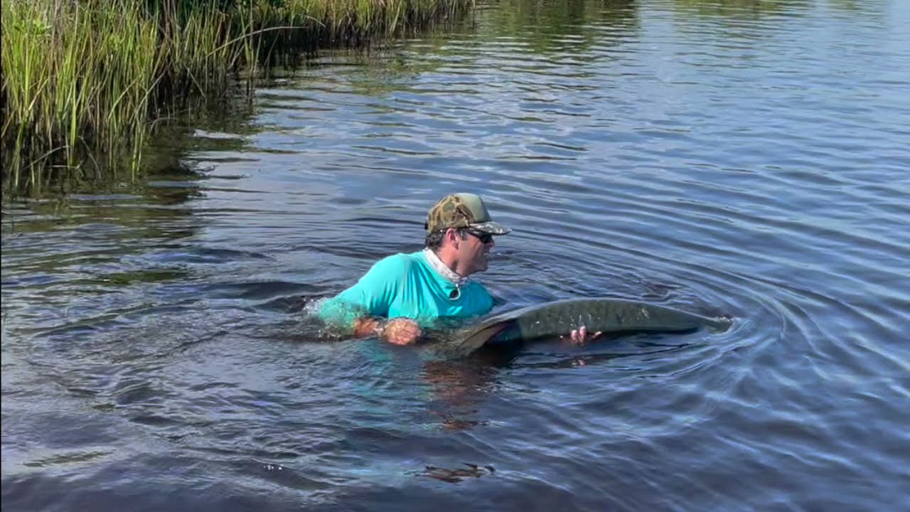 Homosassa Tarpon Fishing - Capt. Brian Sawyer Fly Fishing For Giant Tarpon in Homosassa, FL