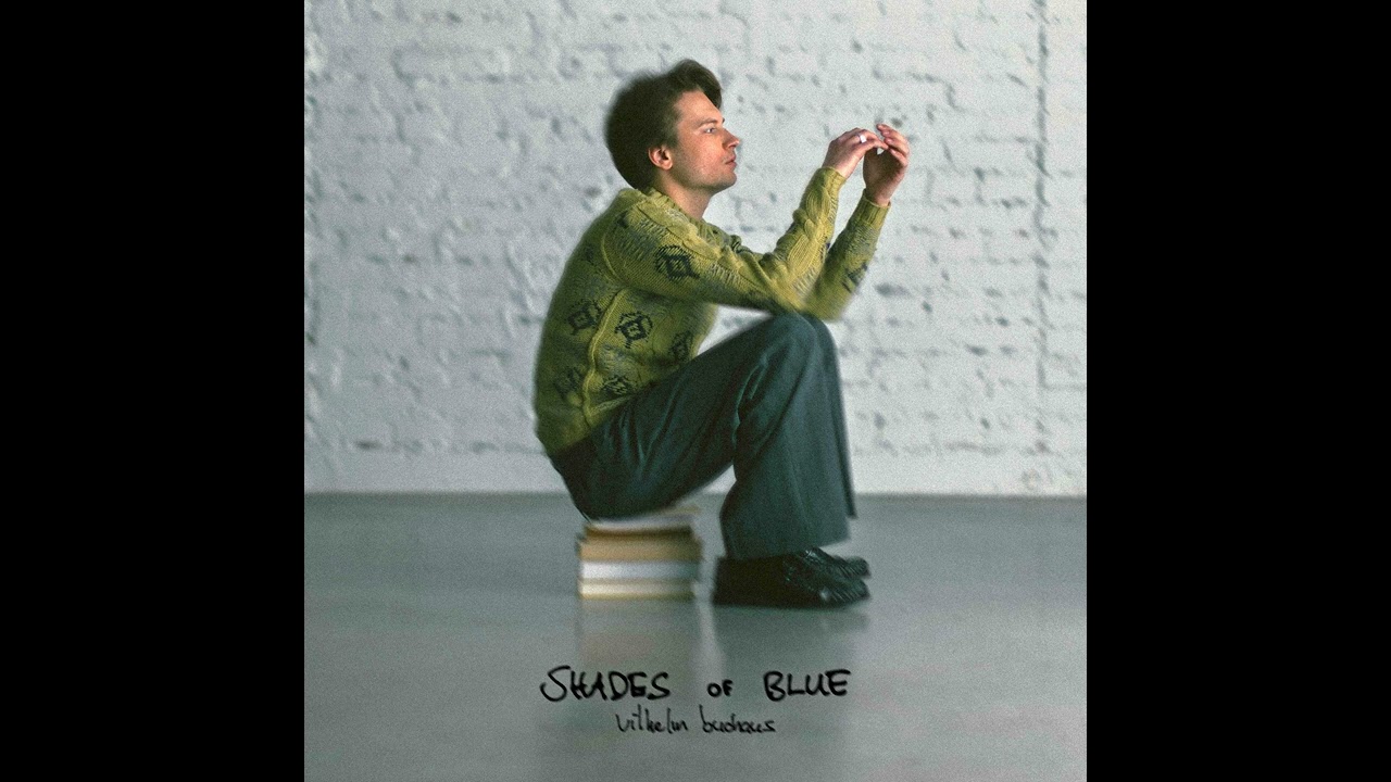 Vilhelm Buchaus - Don't Stare at the Sunlight (Audio)