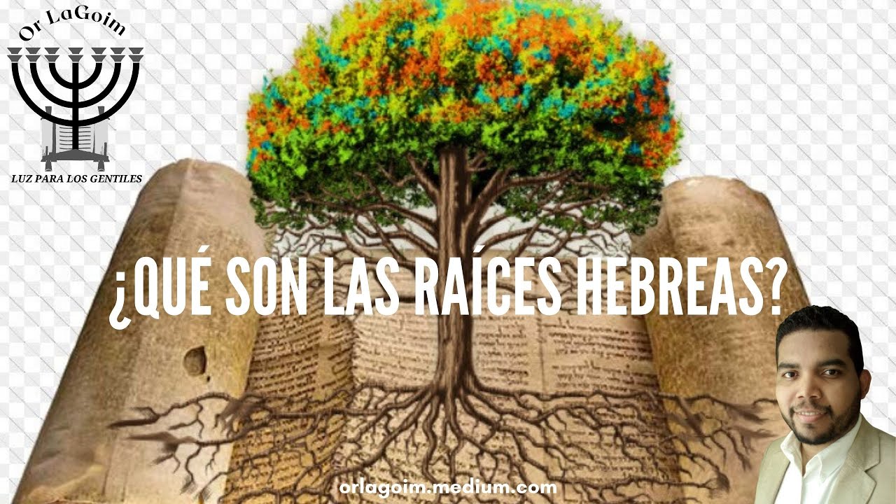 Curso de Raíces Hebreas | 2- ¿Qué son las Raíces Hebreas? | Moréh Jonathan Colina