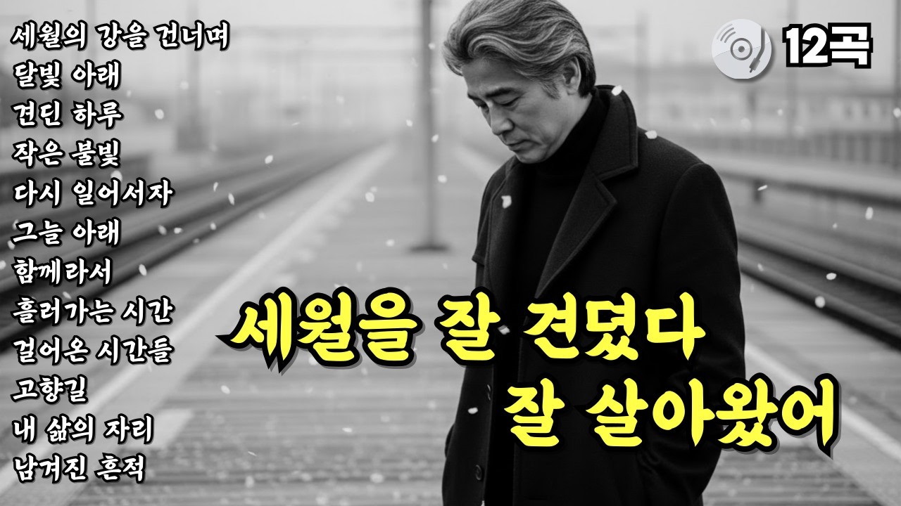 ✨세월을 잘 견뎠다 잘 살아왔어 | 눈물나는 노래 | 중년을 위로하는 중년감성 트로트 발라드 12곡 모음