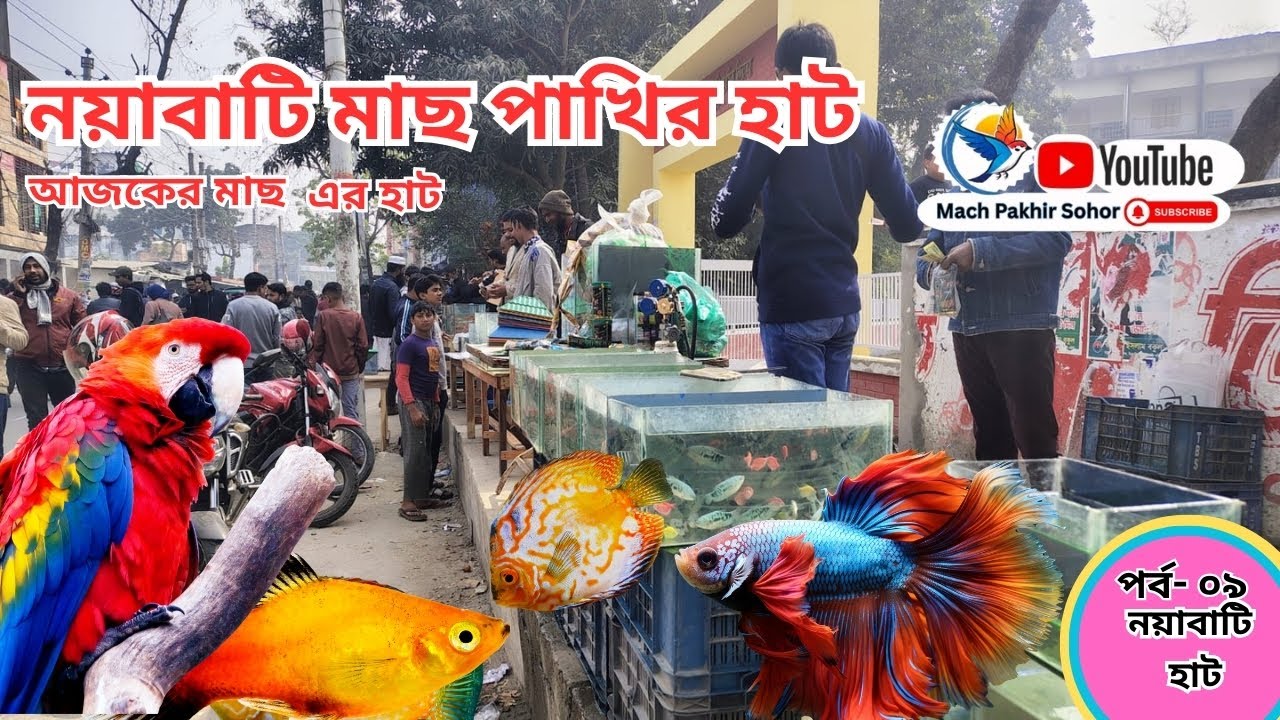 সবথেকে বড় মাছ পাখির হাট পর্ব-০৯  Largest aquarium #fish market #khulna খালিশপুর,নয়াবাটি , খুলনা