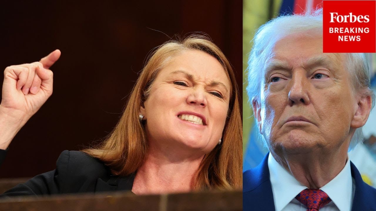 'Without Any Consultation To The Indigenous People': Stansbury Rips Trump's Renaming Of Mount Denali