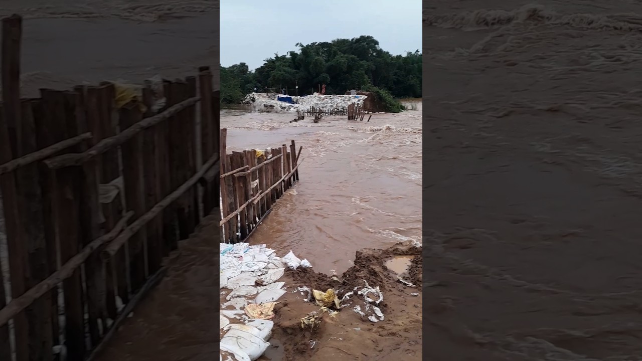 Jajpur Flood Update #shortvideo #jajpur #flood #odisha