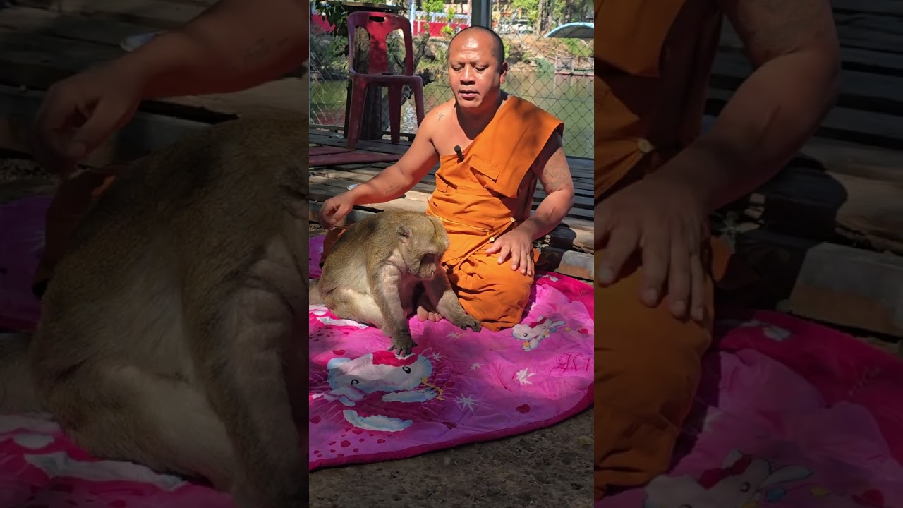 คุยกับจ๋อ ธรรมสอนใจปีใหม่ สุขกายสบายฝจไร้ทุกข์