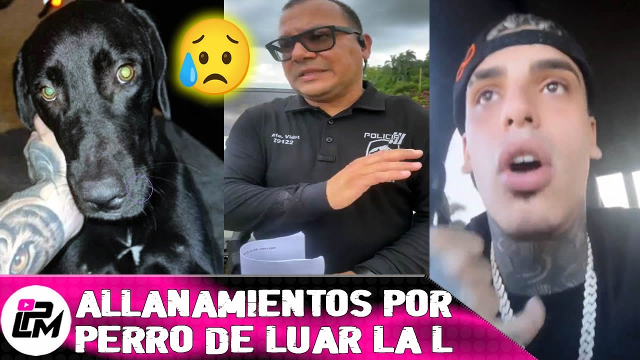 Allanan Albergue en busca de Jhonny perro de Luar La L