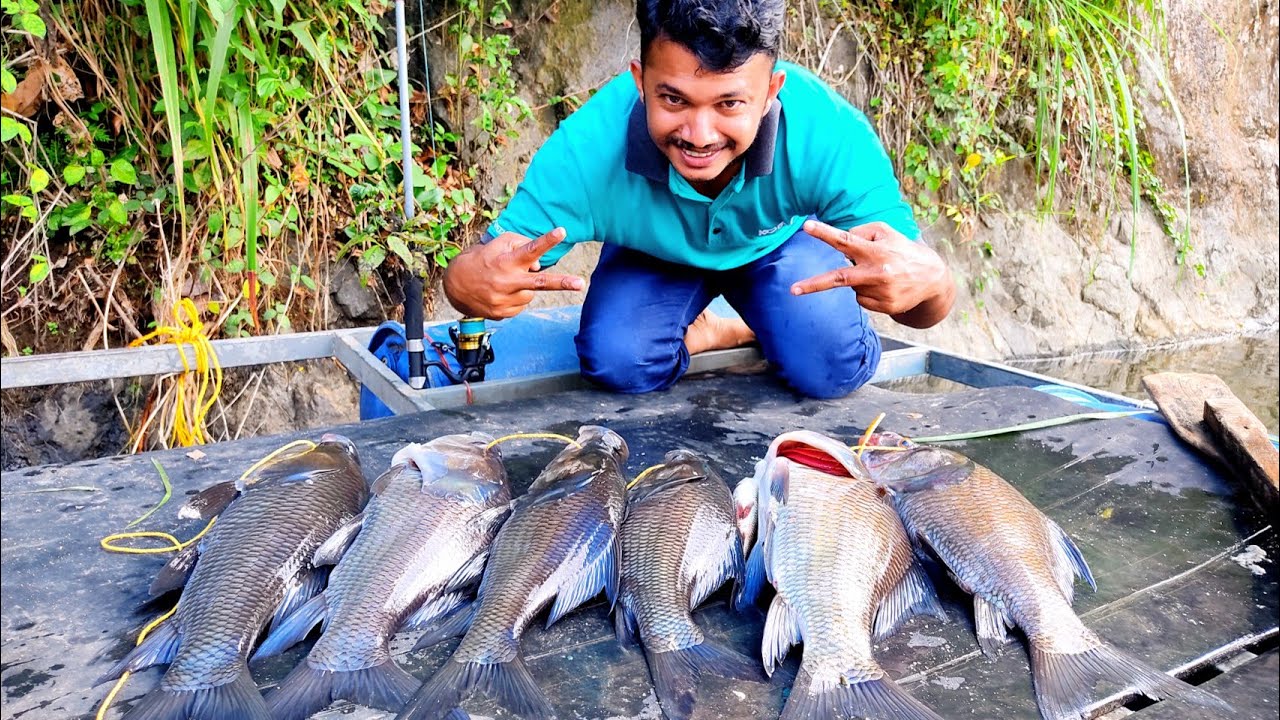 പാറ മടയിൽ നിന്നും വരി വരിയായി അടിച്ച കട്ടള കളെ കണ്ട് ഞെട്ടി | Carp Fishing Kerala