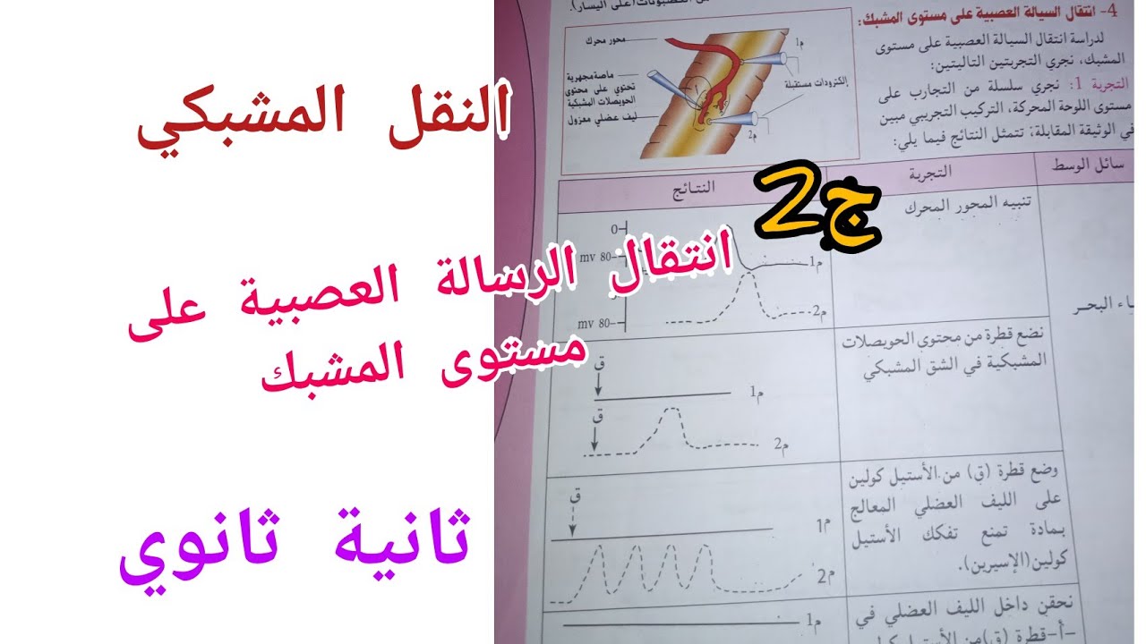 انتقال الرسالة العصبية على مستوى المشبك-النقل المشبكي/ للسنة الثانية ثانوي