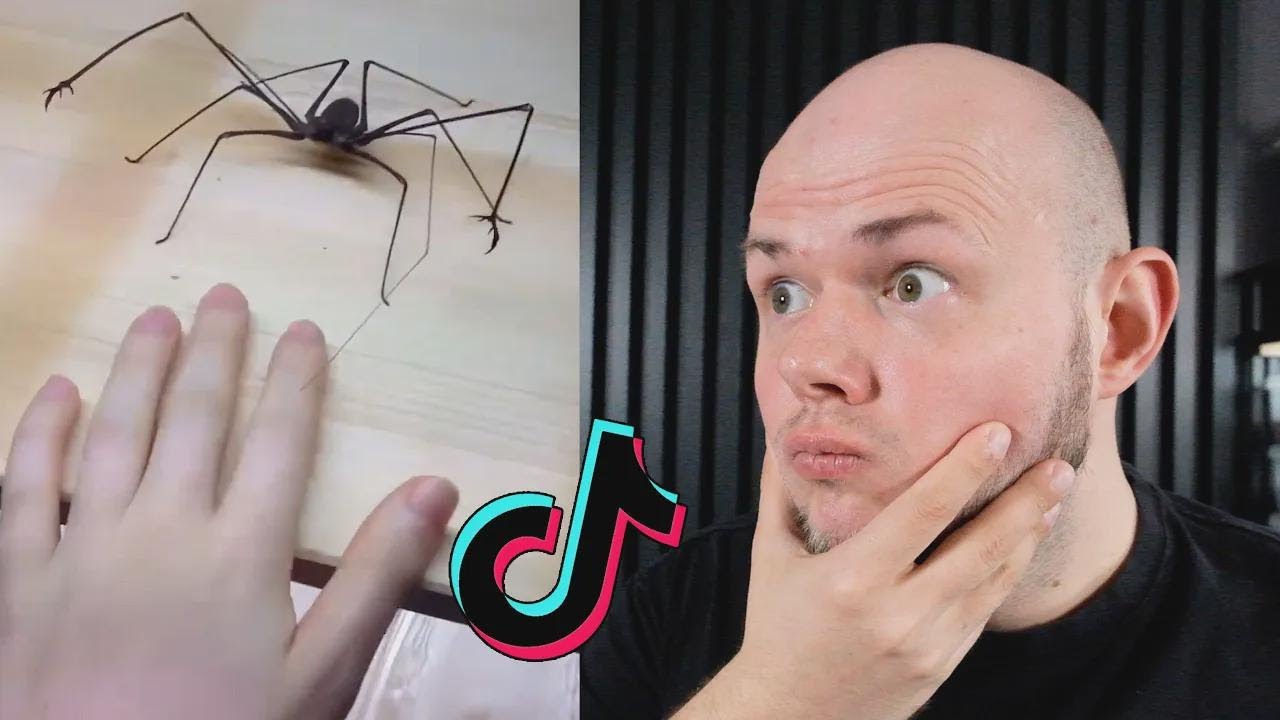 QUE BICHO É ESSE?! Reagindo aos vídeos dos inscritos - Parte 5