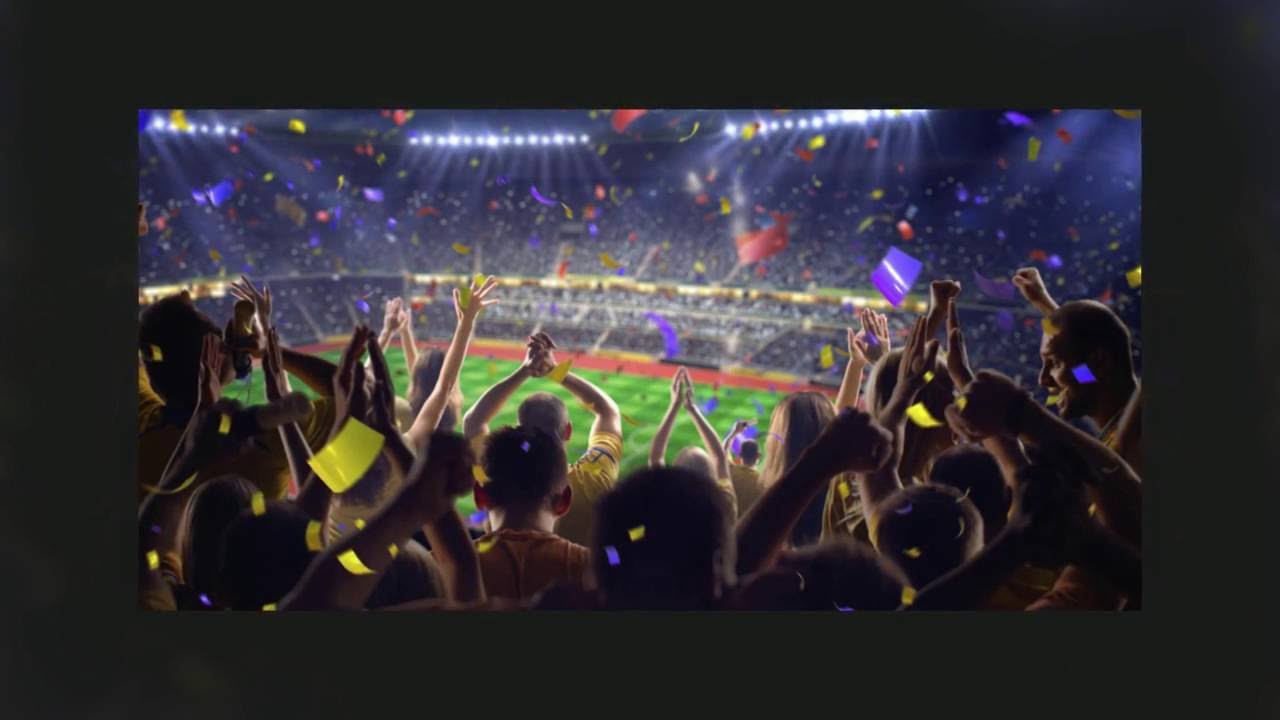 VERSUS Consulting&nbsp;: supporter des Diables Rouges Euro2016 - Germany - Poland