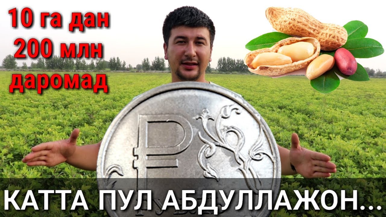 ДЕХҚОНЧИЛИК ОРҚАСИДАН КАТТА ДАРОМАД ЕРЁНҒОҚ
