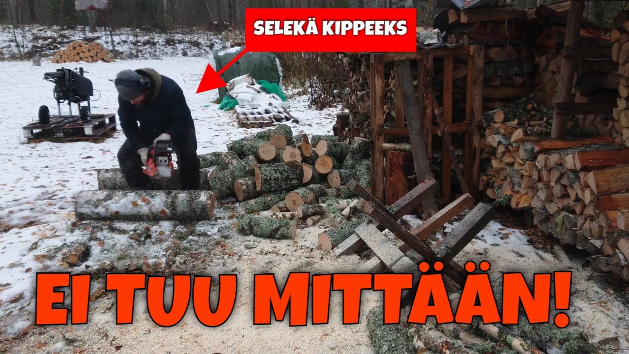 METSURII ei miusta tule! HUSQVARNA 435 II X-Torq #polttopuu