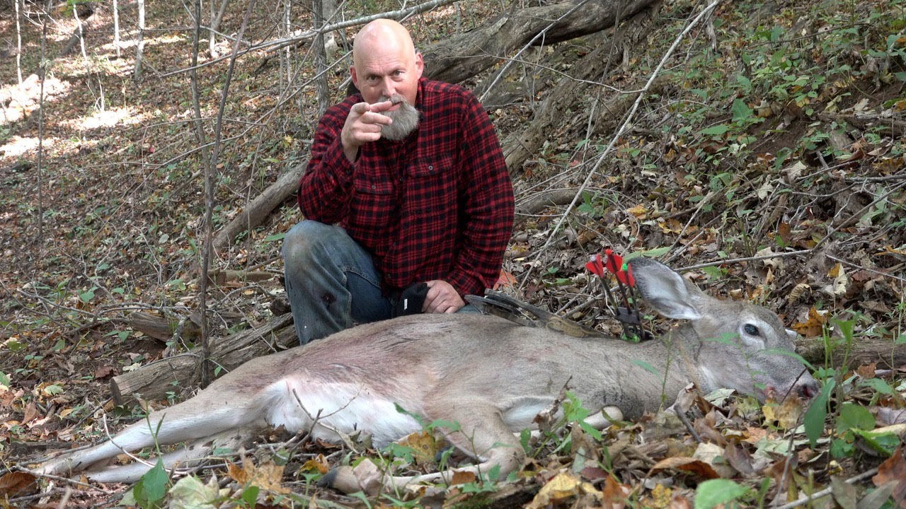 No Camouflage Series! (Deer Hunting In Early Bow Season!) #hunting #archery