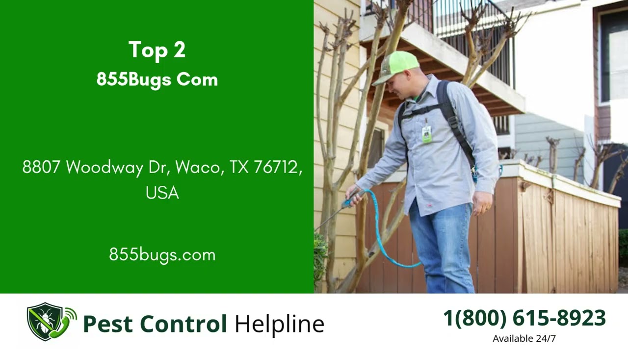 Top 3 Pest Control in Hewitt