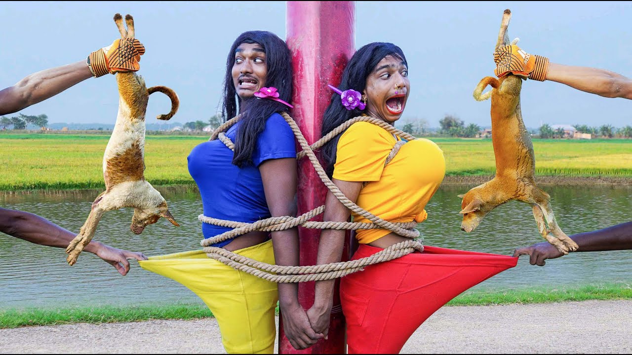 Top New Comedy Video Amazing Funny Video 😂 Try To Not Laugh Episode 55 by Maha Funny Factory