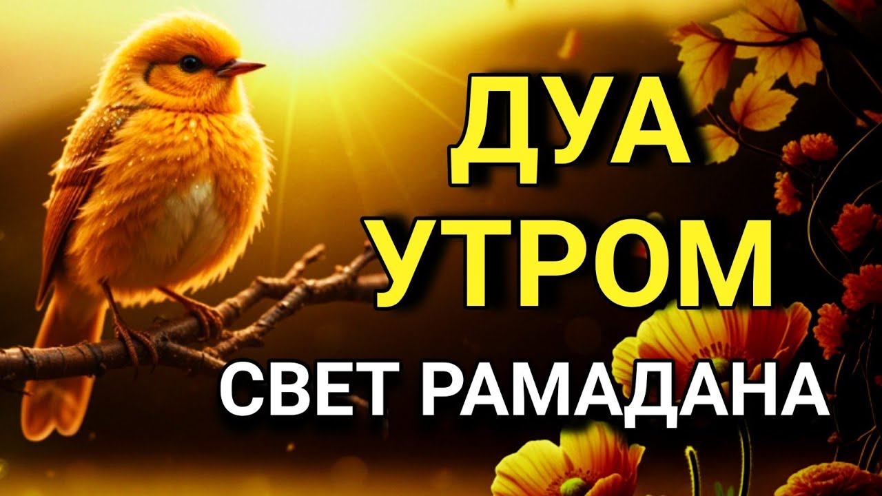 🔑💖 РАМАДАНСКОЕ УТРО СЛОВА, КОТОРЫЕ МЕНЯЮТ ДЕНЬ 🤲✨💯