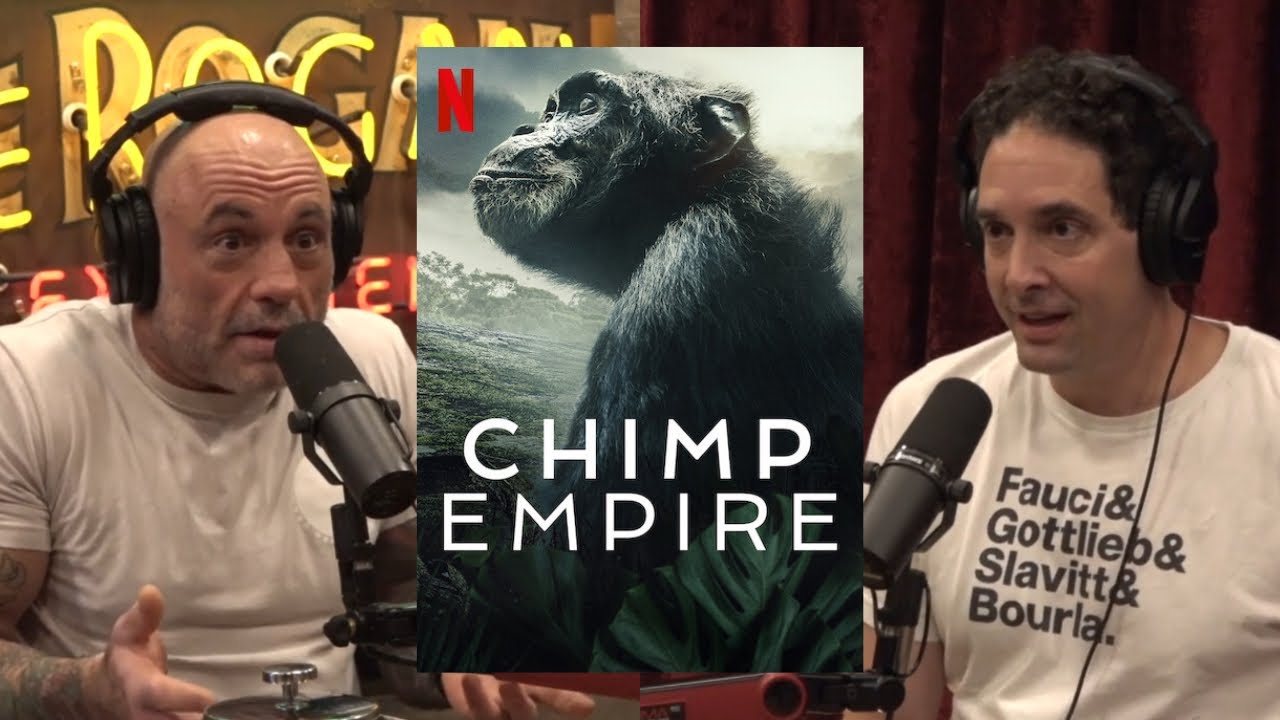 Joe Rogan: Have you Seen that Chimp Empire Show!