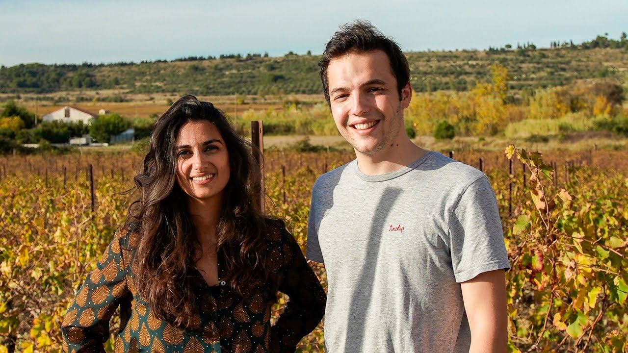 Le Petit Béret : Vins et bières sans alcool & bio 🍇