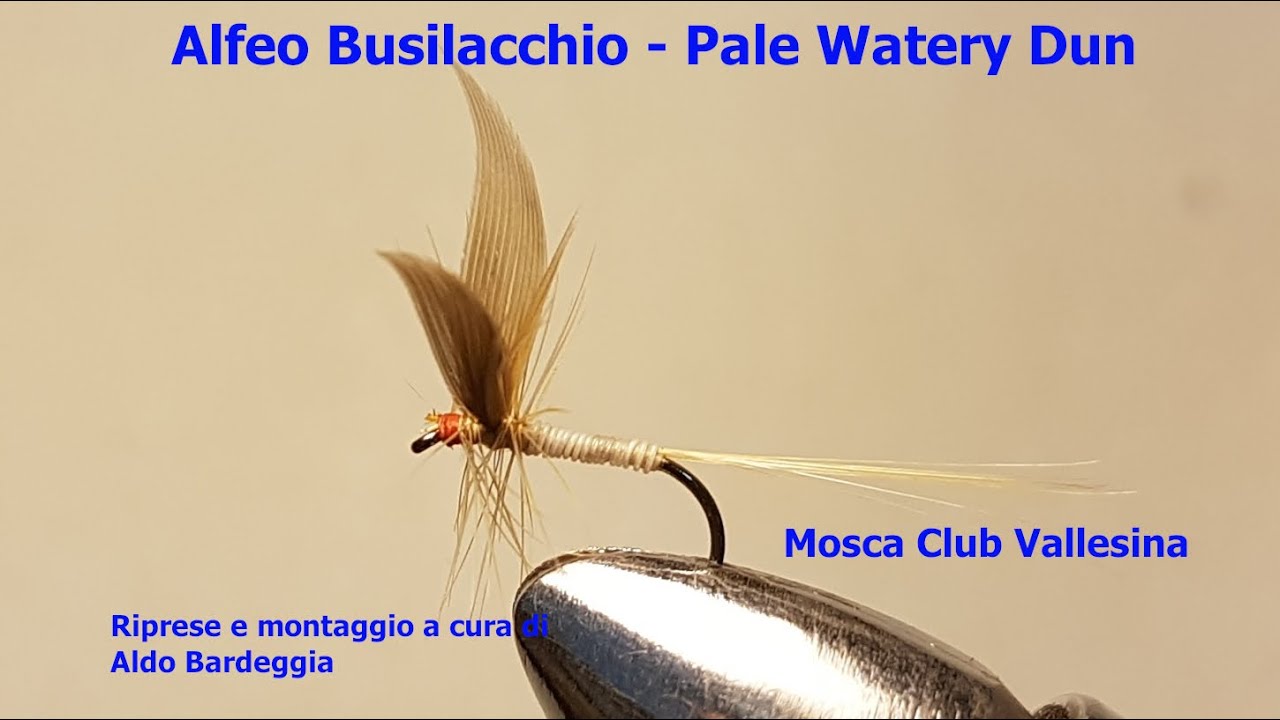 Alfeo Busilacchio Pale Watery Dun