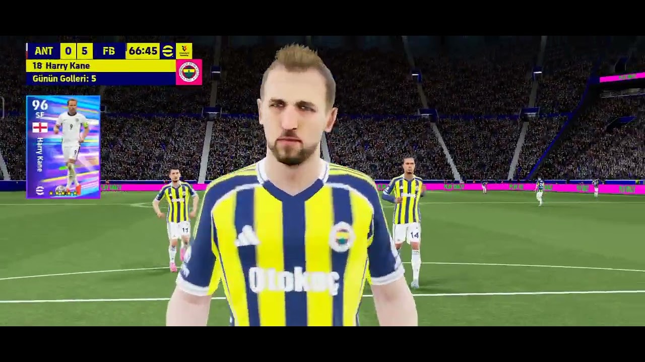 Fenerbahçeli Antalyaspor maçı 